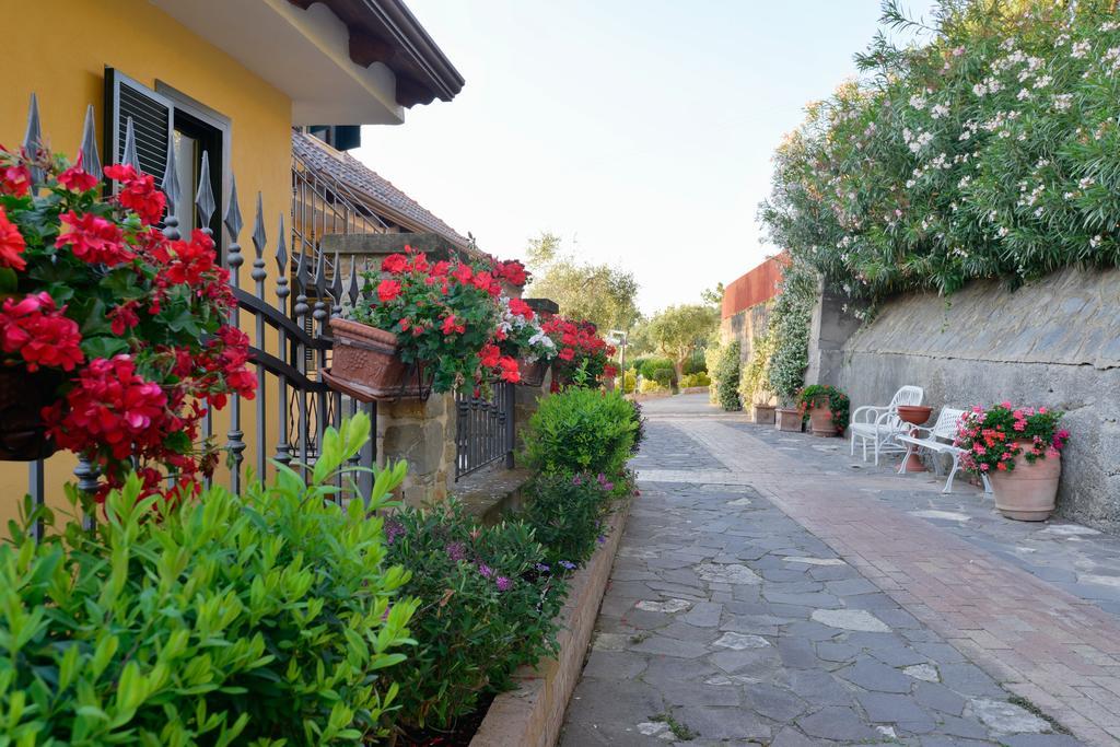 Villa Elaia Santa Maria di Castellabate Exterior photo